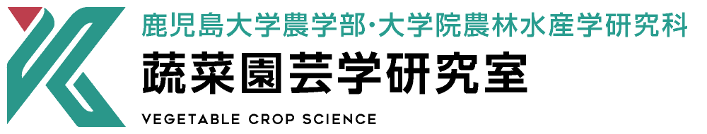 蔬菜園芸学研究室 | 鹿児島大学農学部・大学院農林水産学研究科