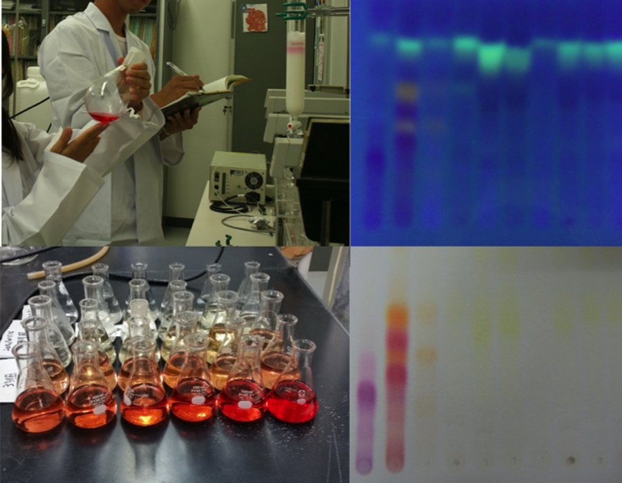 カラムクロマトグラフィーやTLCによる化学分析
