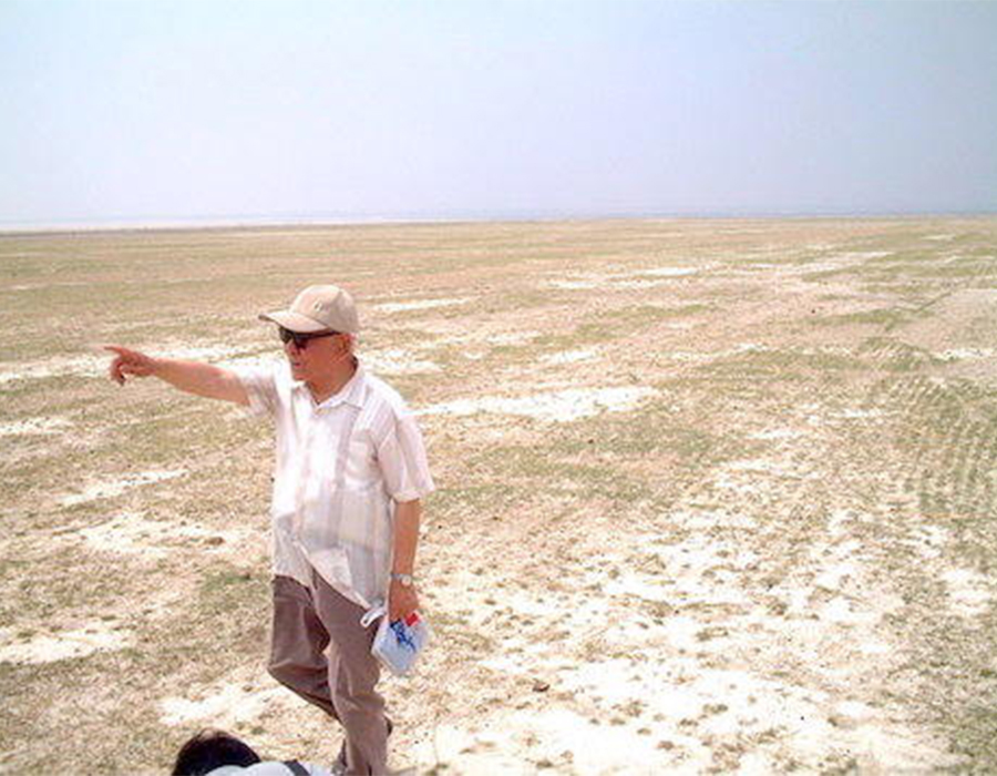 中国吉林省のアルカリ沙漠