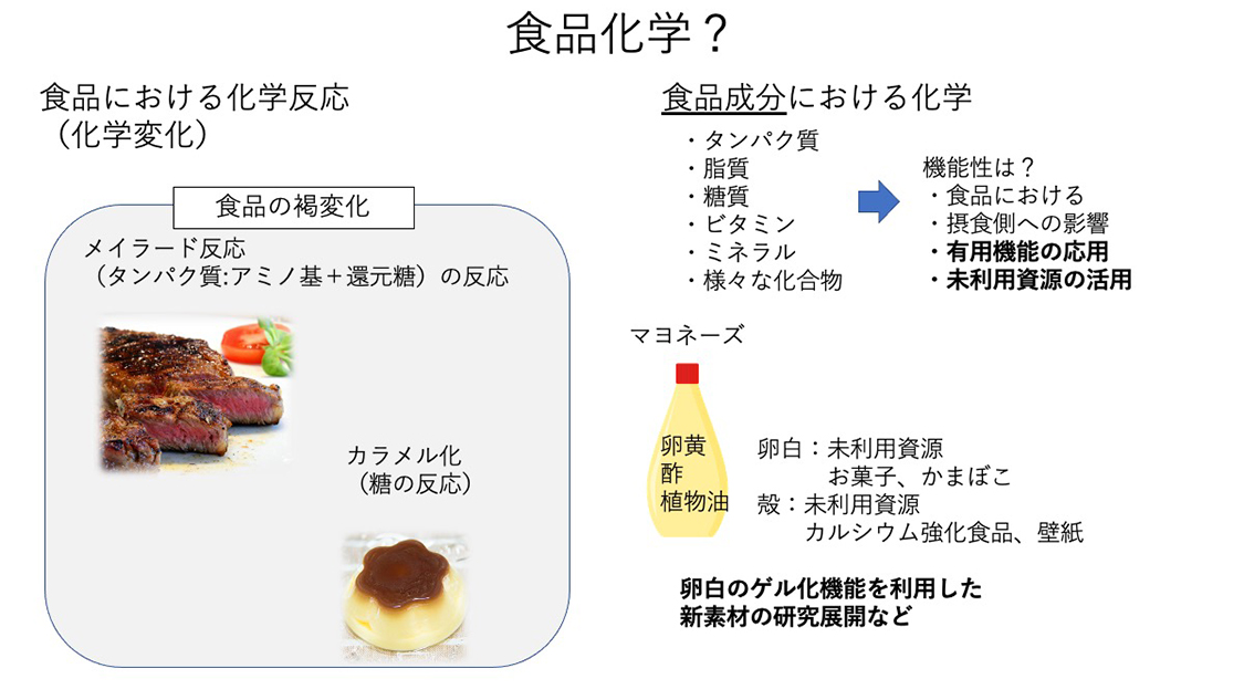 食品化学とは？