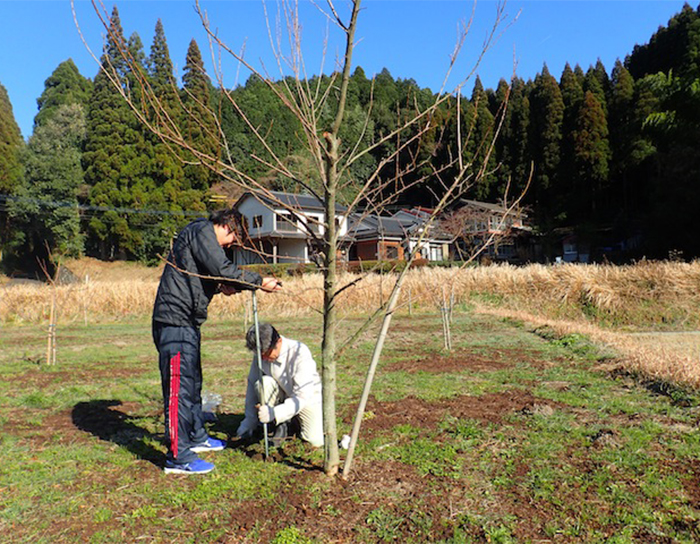 水町アーモンド圃場における土壌調査