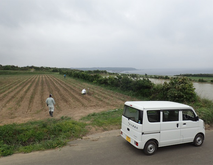 南種子町におけるサトウキビ圃場における土壌調査