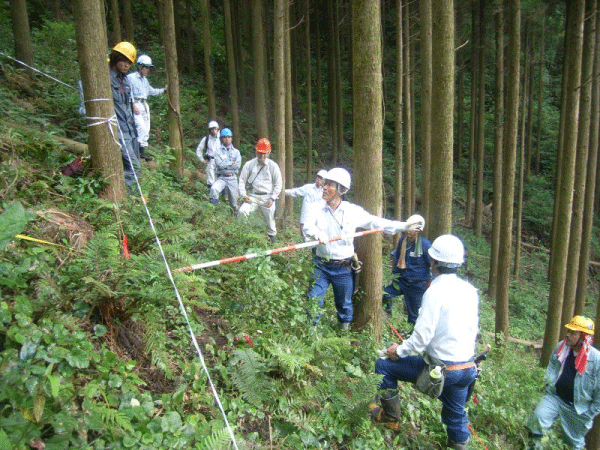 社会人向け林業技術者養成の取組