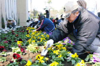 市民・学生ボランティアによる花壇造り2
