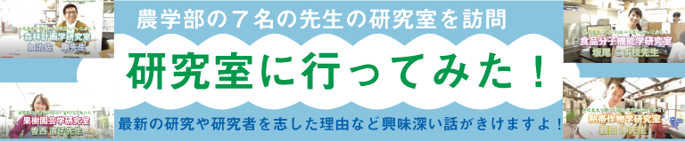 研究室に行ってみた！