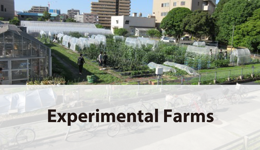 Experimental Farms