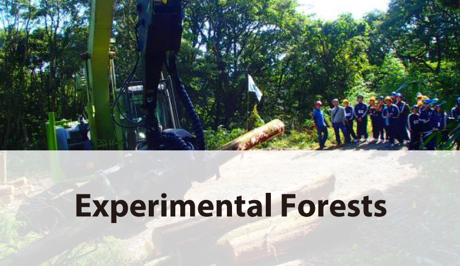Experimental Forests