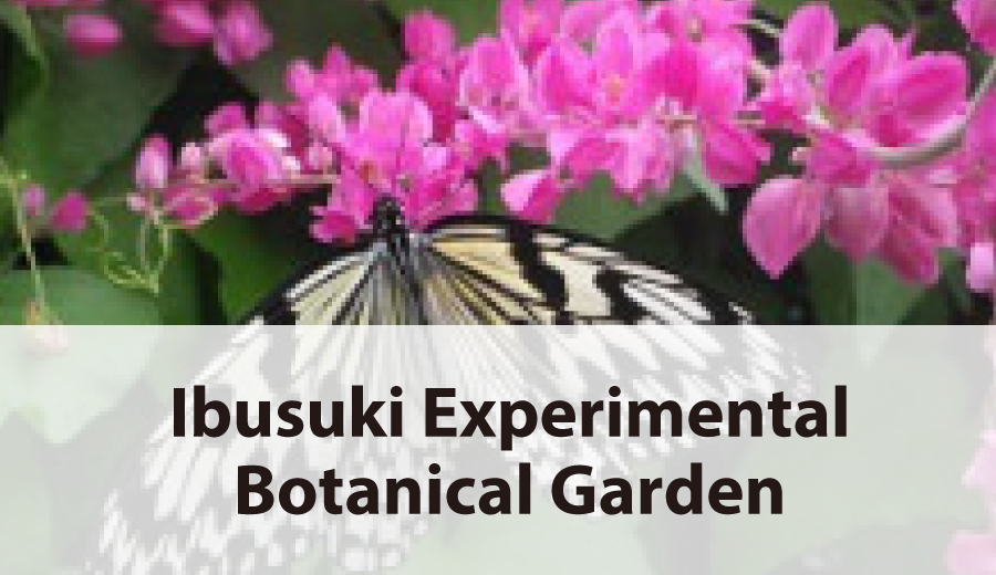 Ibusuki Experimental Botanical Garden