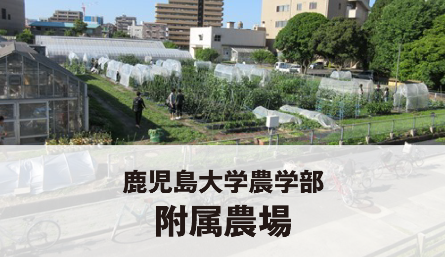 鹿児島大学農学部 附属農場