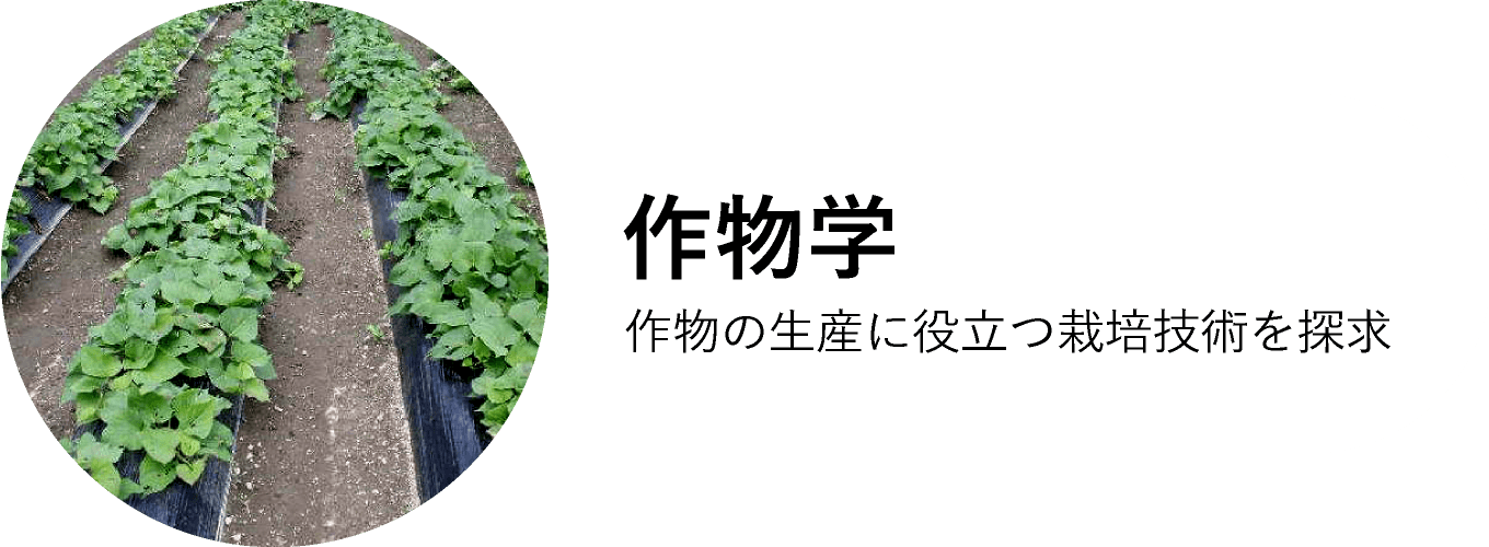 作物学