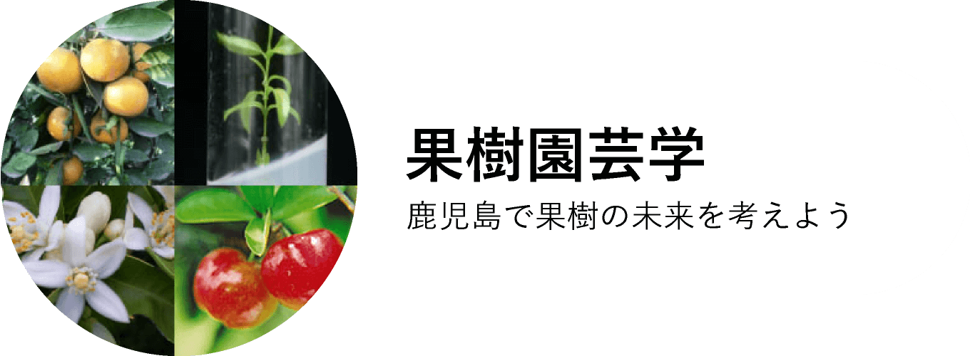 果樹園芸学