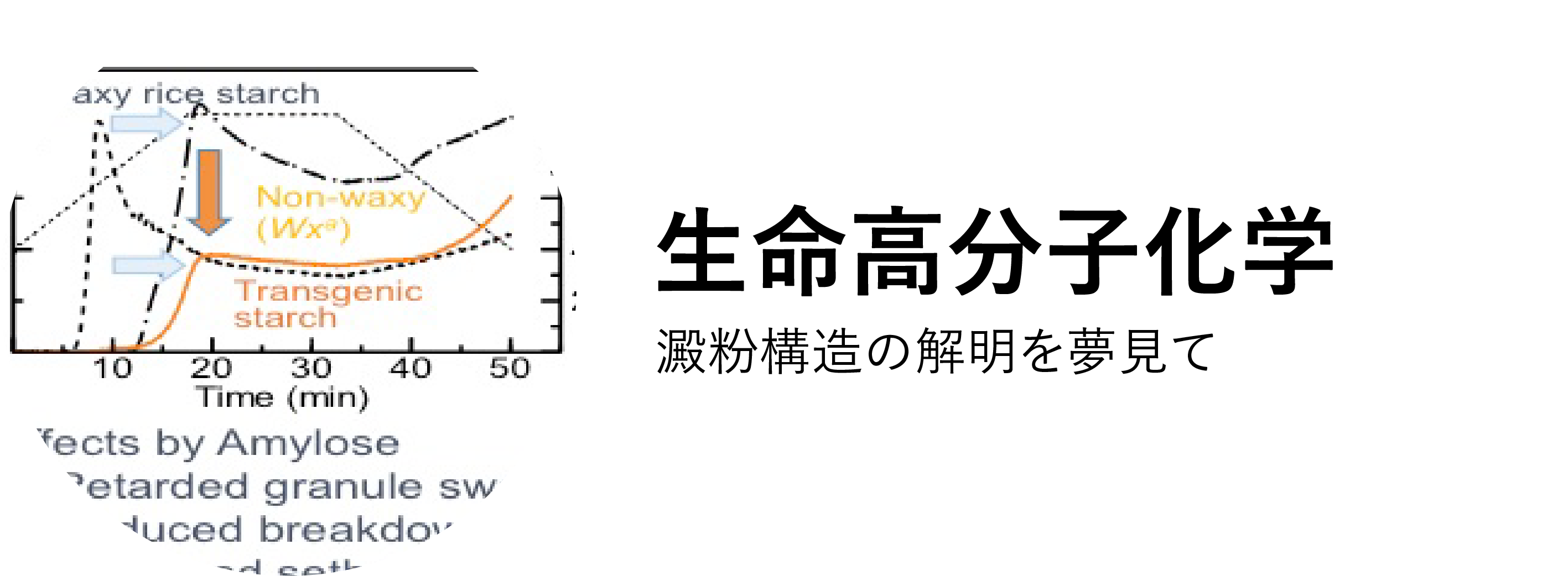 生命高分子化学