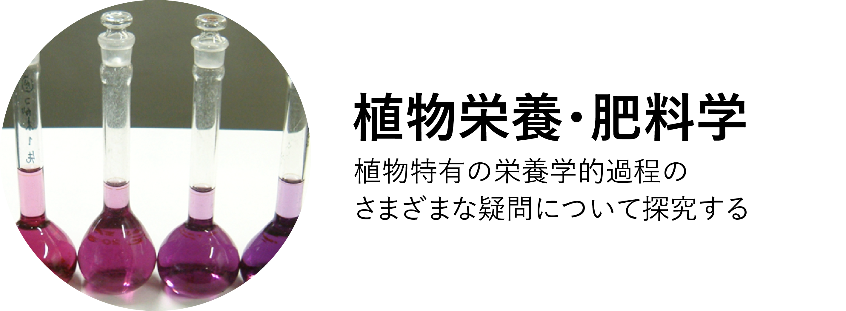 植物栄養・肥料学