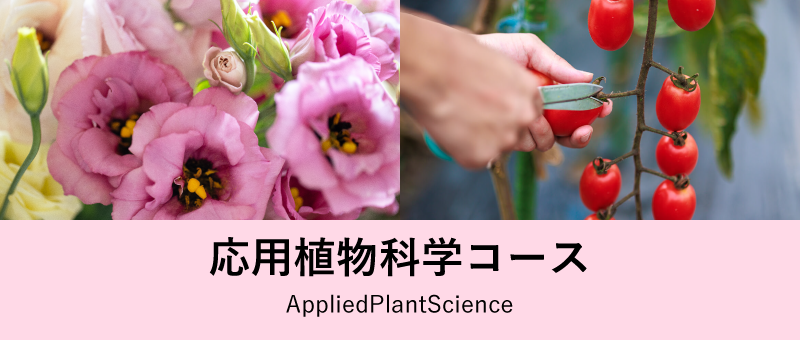 応用植物科学コース