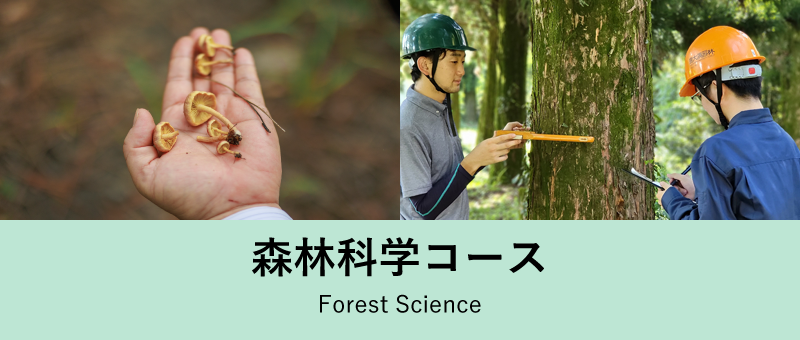 森林科学コース
