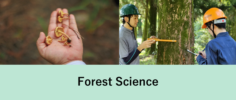 Forest Science