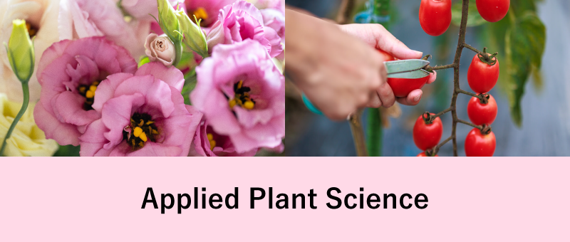 Applied Plant Science