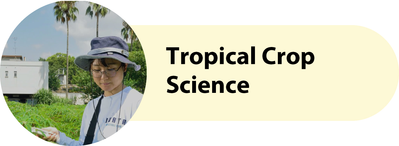 Tropical Crop Science
