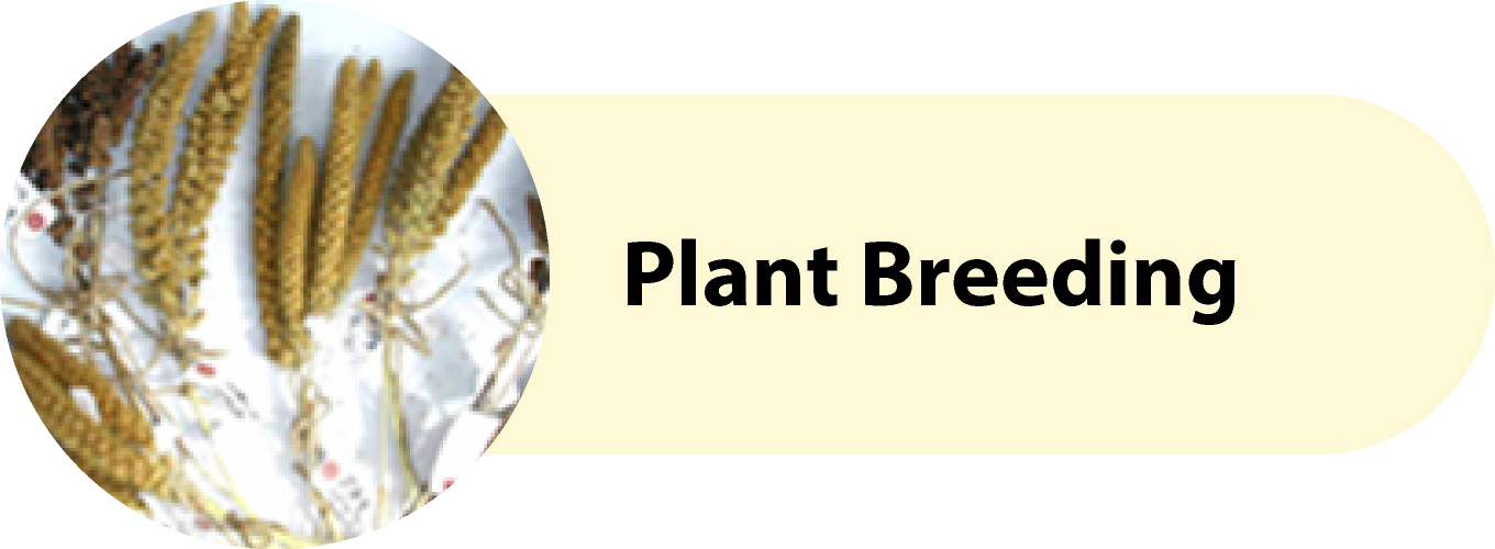 Plant Breeding