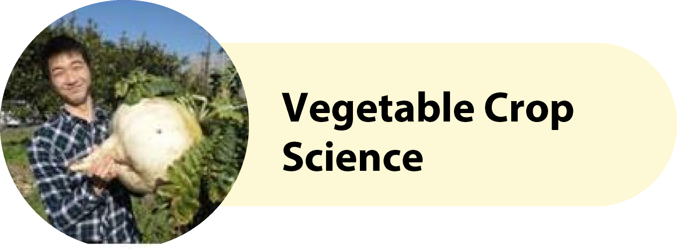 Vegetable Crop Science