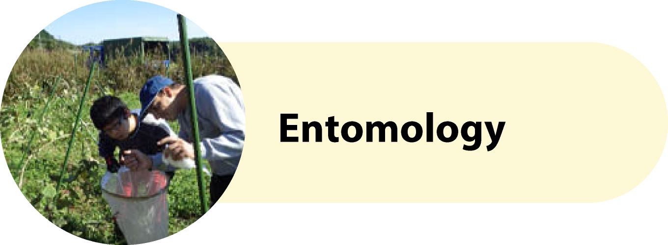 Entomology