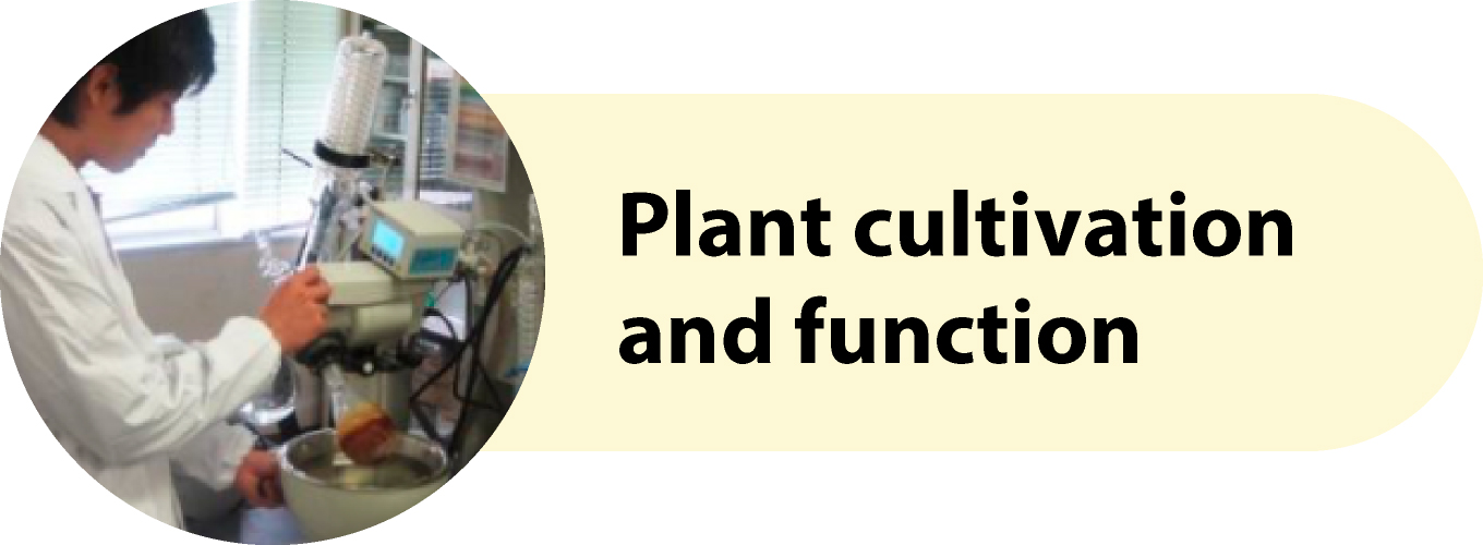 Plant cultivation and function