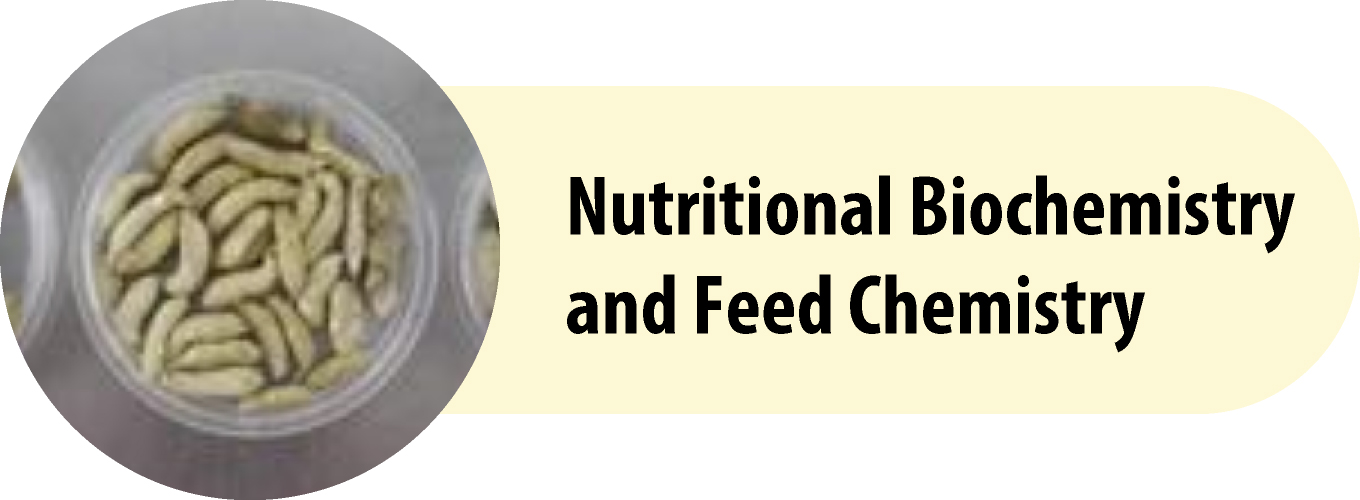 Nutritional Biochemistry and Feed Chemistry