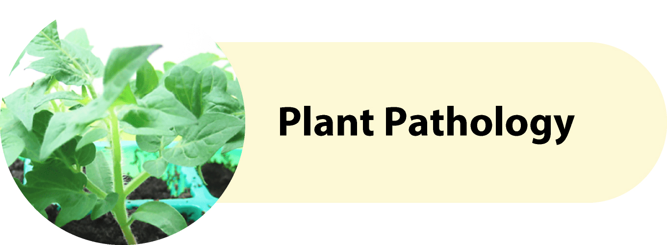 Plant Pathology