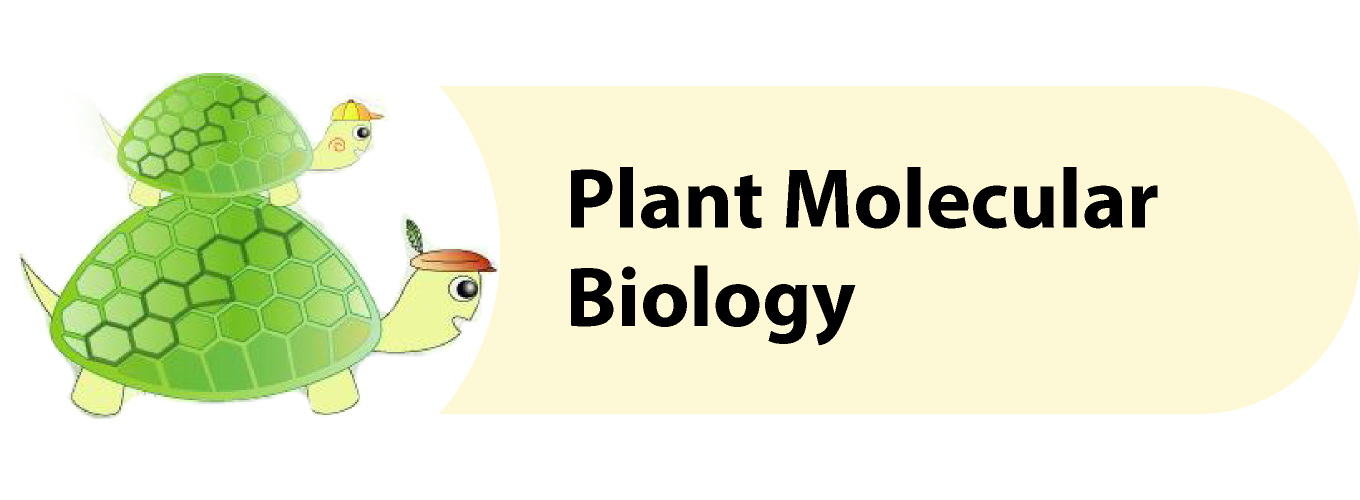 Plant Molecular Biology