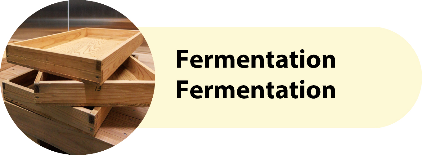 Fermentation Fermentation