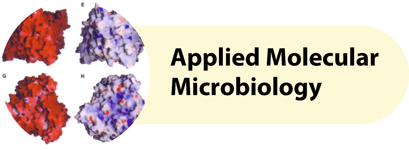 Applied Molecular Microbiology