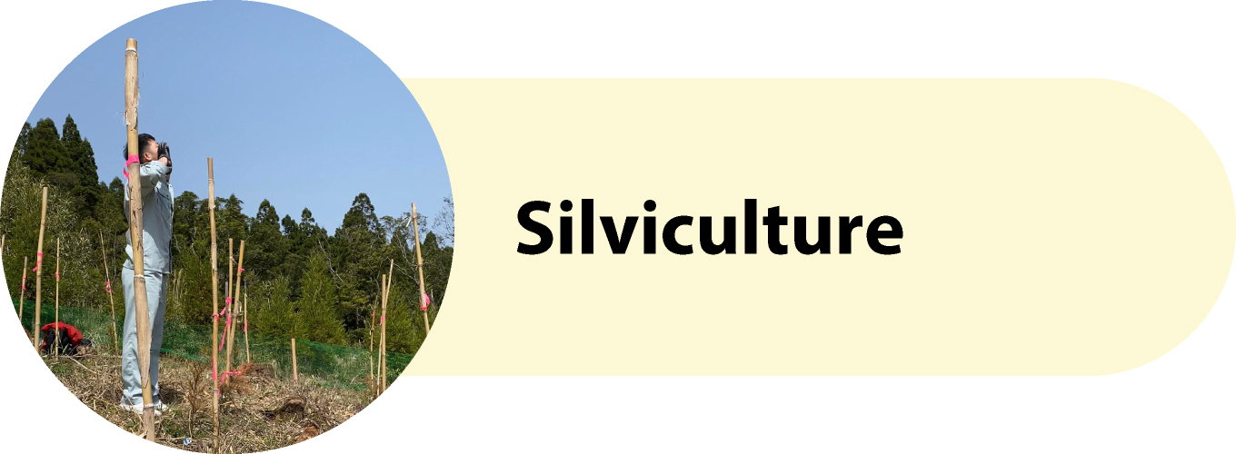 Silviculture