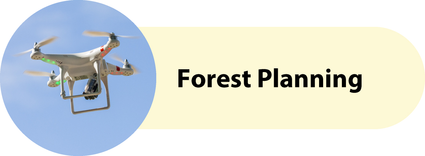 Forest Planning