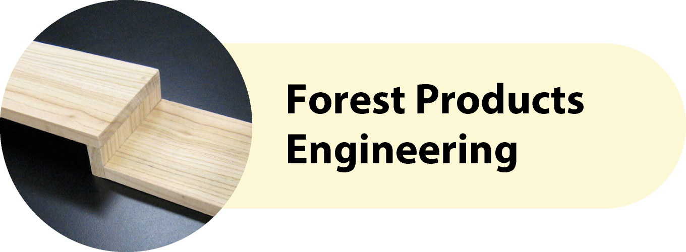 Forest Products Engineering