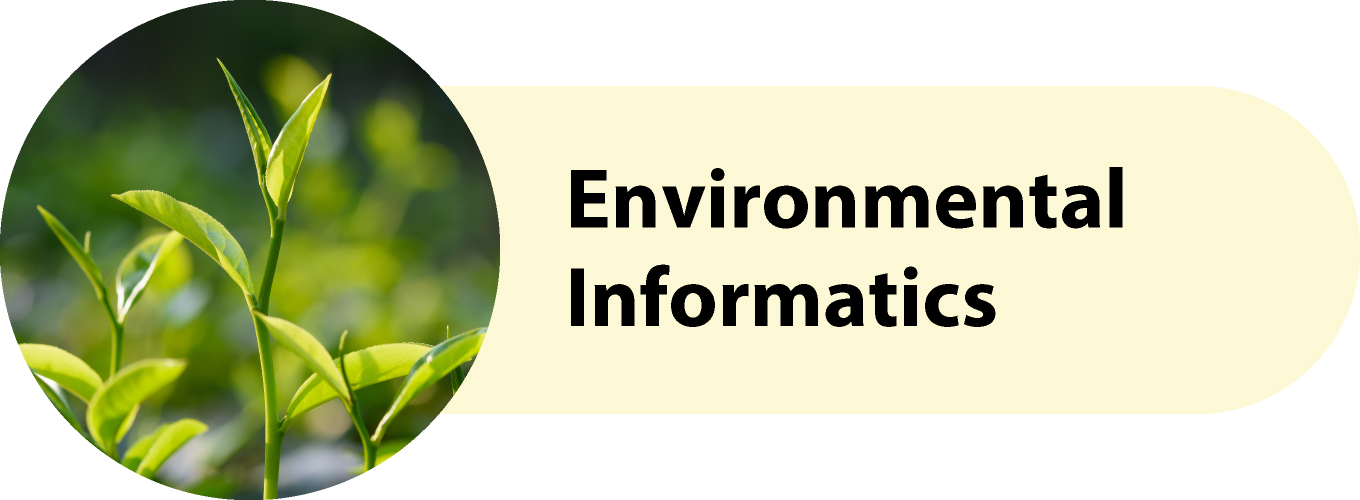 Environmental Informatics