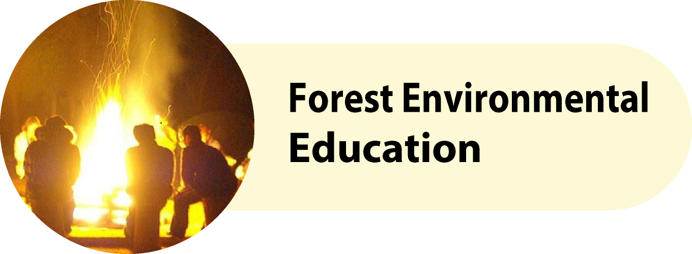 Forest Environmental Education
