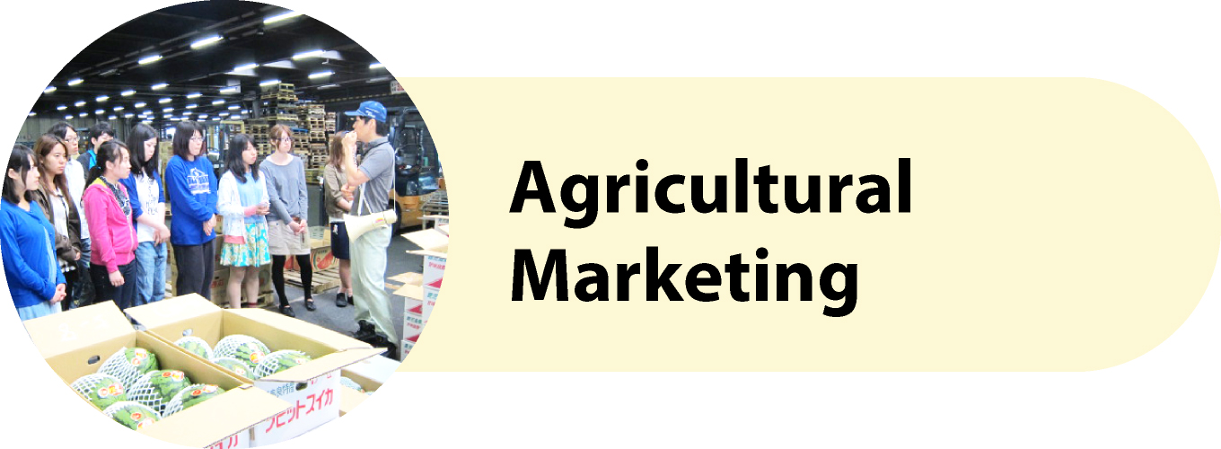 Agricultural Marketing