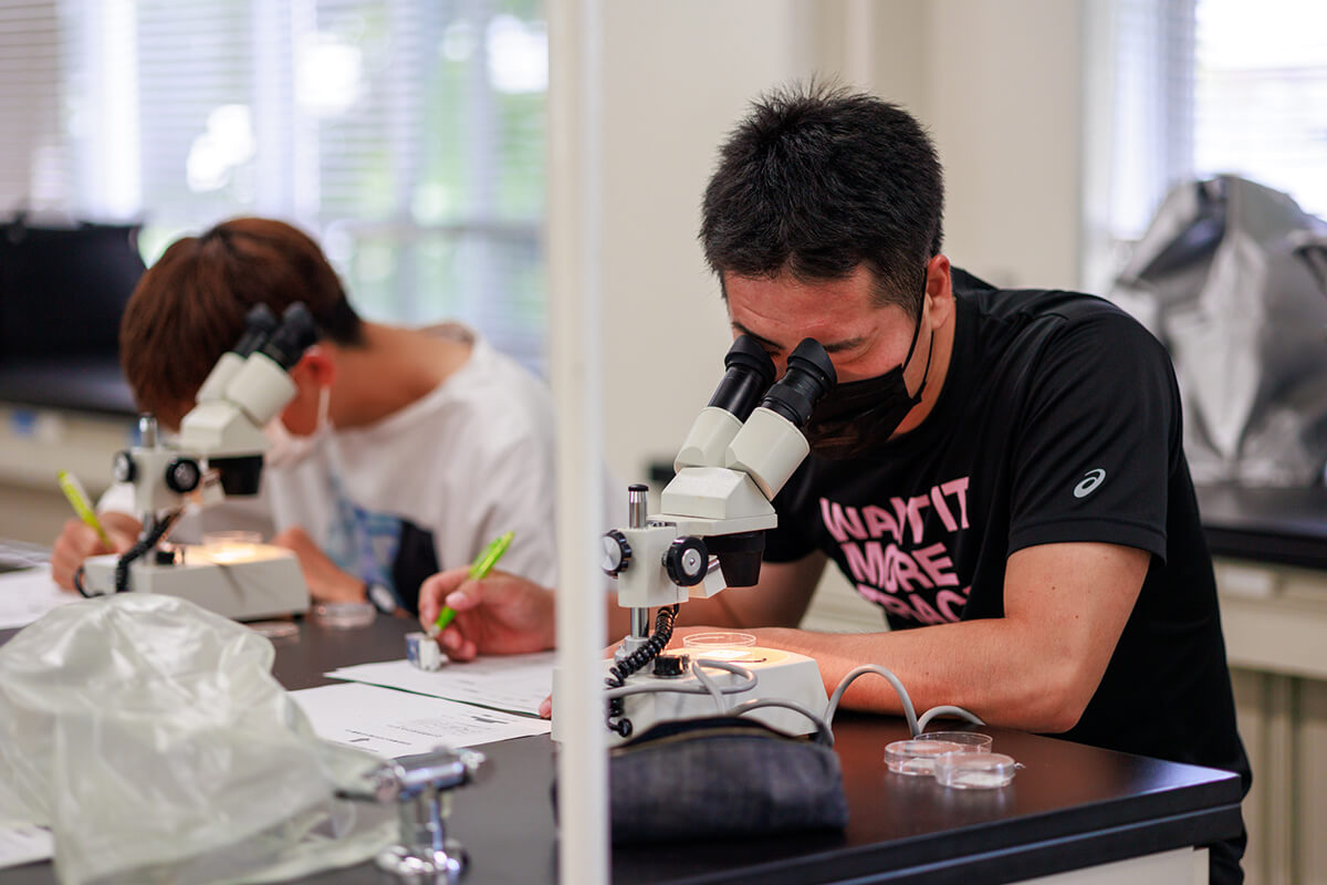 植物資源科学プログラム