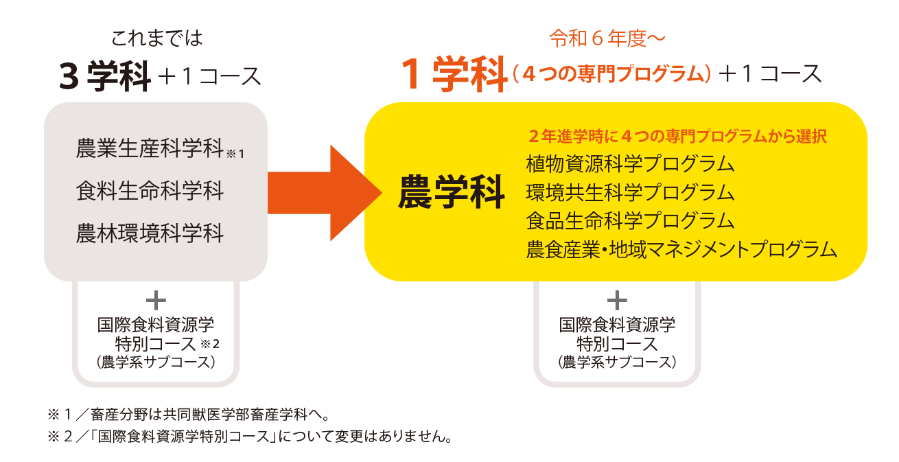 農学科（植物資源科学プログラム、環境共生科学プログラム、食品生命科学プログラム、農食産業・地域マネジメントプログラム）+国際食料資源学特別コース